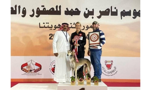 International Saluki Dog Show draws global crowd to Bahrain