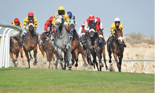 Outsider Steed shines in the race