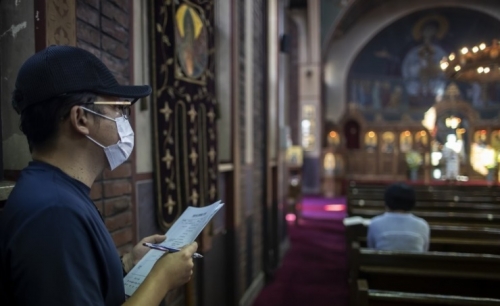 Seoul virus cases top 10,000 since January outbreak
