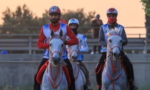 Nasser bin Hamad vedie Royal Endurance Team na Slovensku |  denný súd