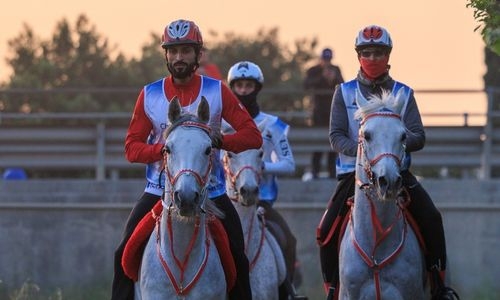 Photo of HH Sheikh Nasser vedie Royal Endurance Team na Slovensku |  Denná tribúna