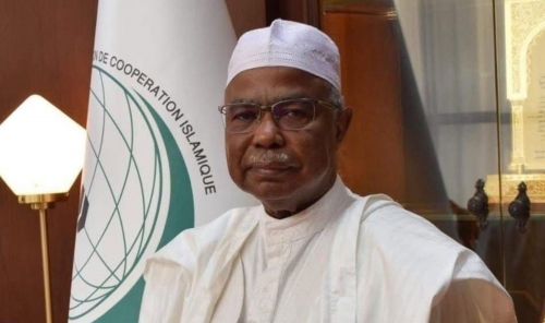 OIC Secretary-General Condemns Drone and Missile Attacks on UAE