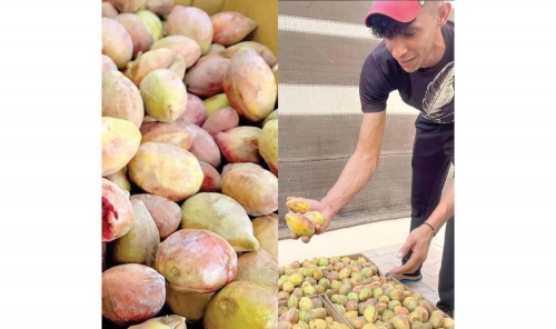 Why Almonds Cost More This Year? Why Almonds Cost More This Year?