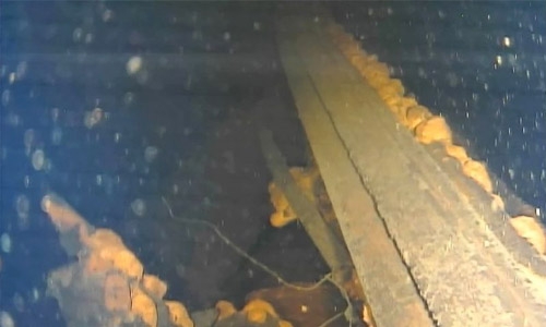Robot finds possible melted fuel inside Fukushima reactor Robot finds possible melted fuel inside Fukushima reactor