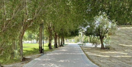 Bahrain Takes Top Spot for Black Carbon Cuts