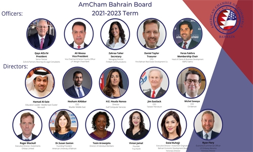 AmCham names new board