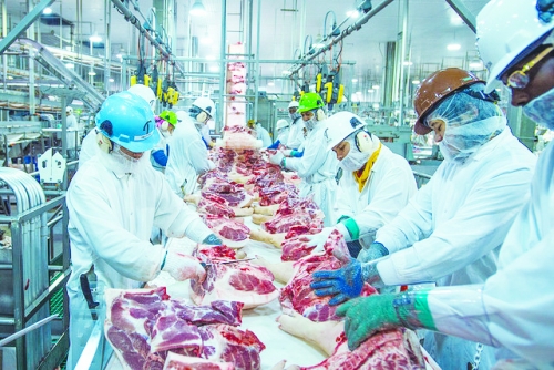 China to impose anti-dumping duties on EU for five years 