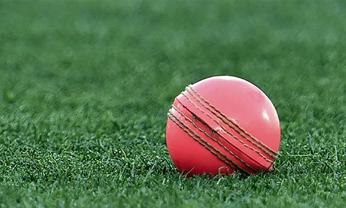 New Zealand to stage inaugural pink-ball Test