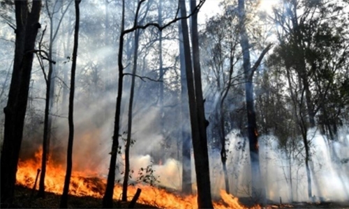Death toll in Australia bushfires rises to four Death toll in Australia bushfires rises to four