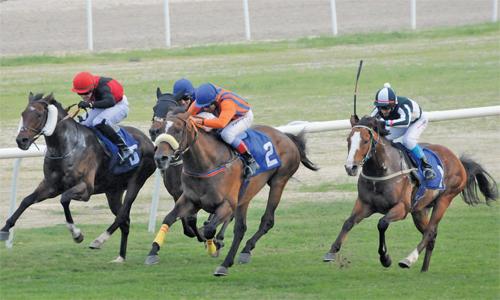 Favourite Methany wins the race Favourite Methany wins the race