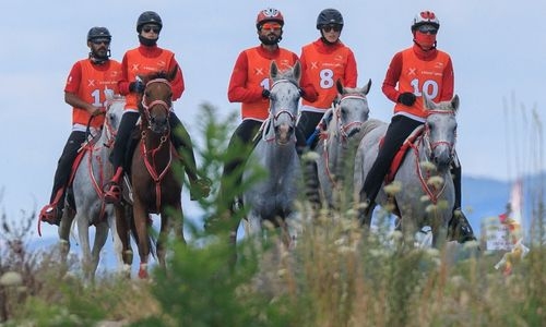 Jeho výsosť šejk Nasser víťazí v pretekoch na 160 km na majstrovstvách Slovenska vo vytrvalostnom jazdení |  denný súd