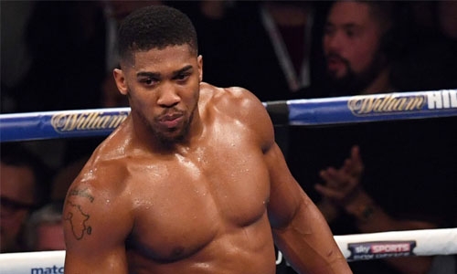 Joshua open to MMA crossover fight