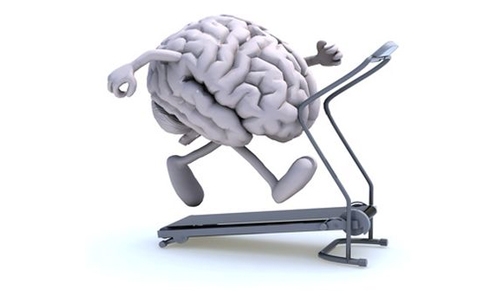 Exercise Makes You Smarter Exercise Makes You Smarter