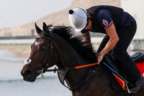 UK training operation to set up in Bahrain