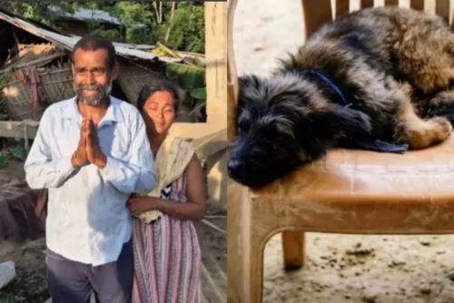  13 Year Old Dies Saving Pet Puppy From Assam Floodwaters