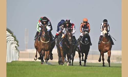 Eight-race card set for today at REHC Eight-race card set for today at REHC