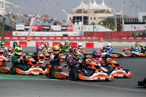 Lewis relishes grand finals experience