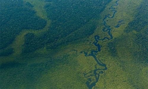 Amazon Deforestation at highest level since 2008 