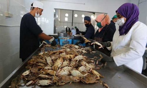 Cashing in on crab menace Cashing in on crab menace