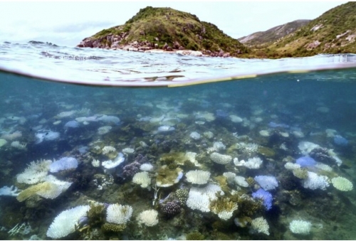 UNESCO spares Great Barrier Reef from 'in danger' status