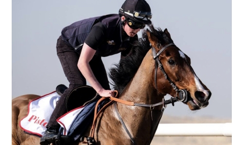 Horseracing spectacle set at REHC Horseracing spectacle set at REHC