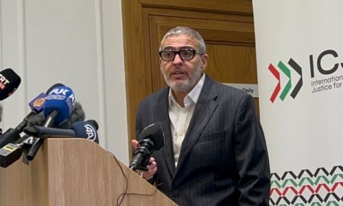 British-Palestinian doctor says refused entry into France British-Palestinian doctor says refused entry into France