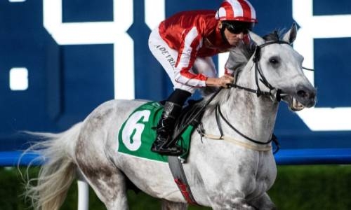 Victorious-owned RB Rich Lyke Me wins Dubai race