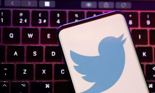 Twitter takeover raises fears of climate misinformation, greenwashing