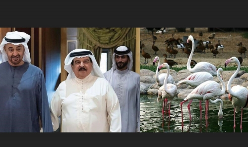 Al Areen Reserve renamed after Sheikh Mohammed bin Zayed