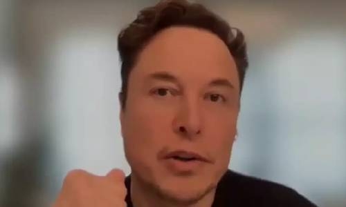 Elon Musk hits out against theory that having fewer kids will help the environment