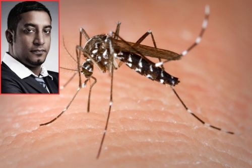 Bahrain at risk of deadly mosquito species: Expert Bahrain at risk of deadly mosquito species: Expert