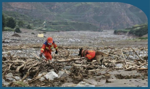 Flash Flood in Inner Mongolia Kills Nine, Three Missing Flash Flood in Inner Mongolia Kills Nine, Three Missing