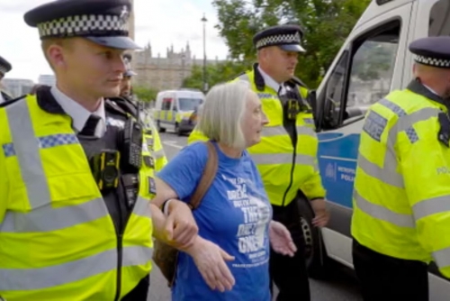 UK police say almost 900 arrests made at Palestine Action demo 