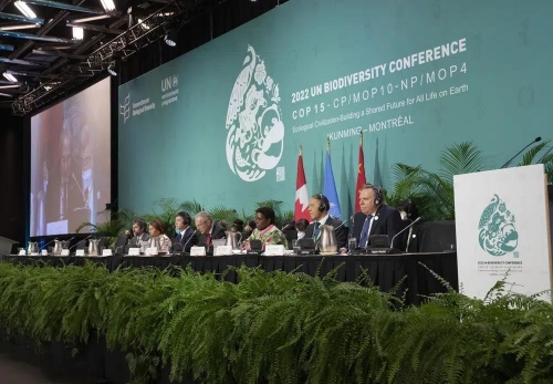 Nearly 200 countries sign historic deal to halt biodiversity loss by 2030 Nearly 200 countries sign historic deal to halt biodiversity loss by 2030