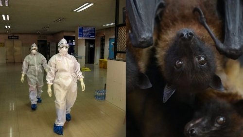 Bahrain Rushes Critical Medicines to Kerala During Nipah Emergency Bahrain Rushes Critical Medicines to Kerala During Nipah Emergency