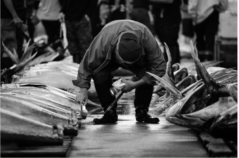 Going, going, gone! Going, going, gone!