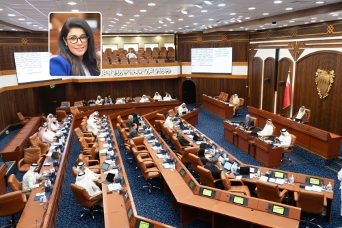 Al Dhaen only female candidate in committee chairmanship elections