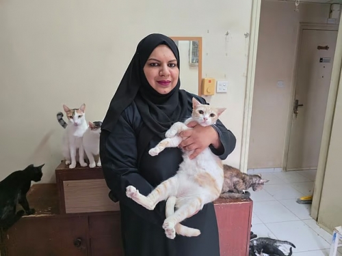 Pakistani Expat in Dubai Caring for 65 Rescued Cats Faces Eviction