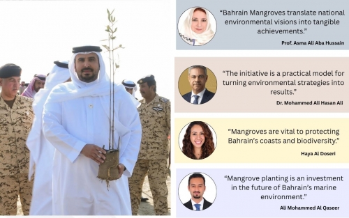 2.23 Million Mangrove Seedlings Planted