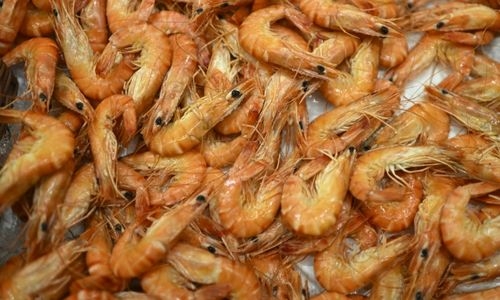 Bahrain cops foil attempt to smuggle marijuana in shrimp, herbs