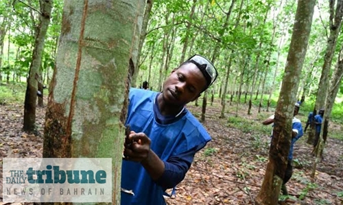 Changing times put I.Coast’s rubber industry under pressure Changing times put I.Coast’s rubber industry under pressure