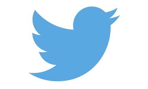 Twitter user jailed for slur