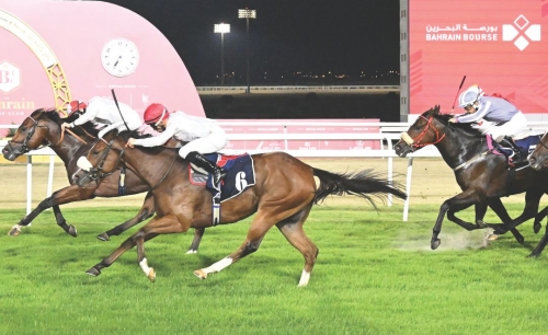 Bahrain to stage two nights of racing for Arabian Horse Foundation and Redx Cups 