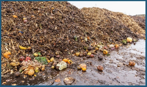 Capital Council Pushes Structured Plan for Agricultural Waste Management