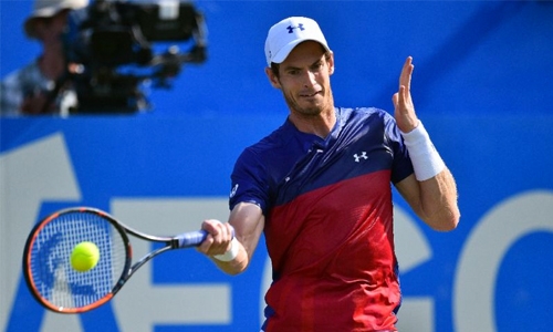 Murray fit for Wimbledon title defence