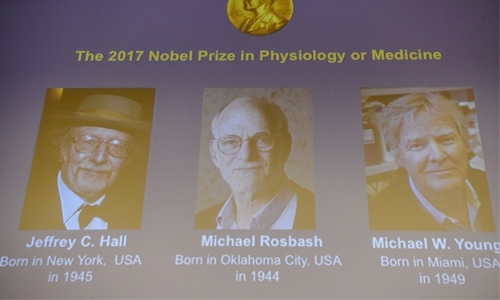 US biology trio wins Nobel Medicine Prize