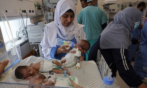 31 premature babies evacuated from Gaza ‘death zone’ hospital