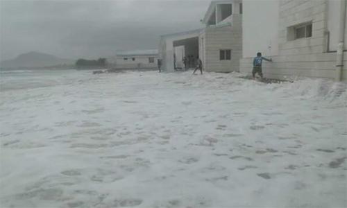 Cyclone Chapala: Socotra Island hit, 1 dead and 9 injured Cyclone Chapala: Socotra Island hit, 1 dead and 9 injured