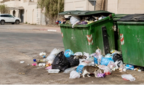 Open Bins Spark Pest and Public Health Concerns