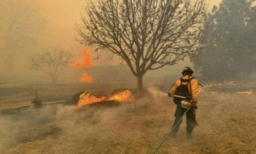 Rain offers slight reprieve from largest wildfire in history of Texas